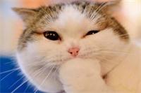 30个笑掉大牙的笑话 30个笑掉大牙的笑话